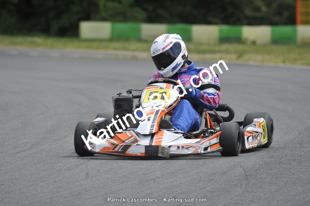 31/05/2015 : 4ème manche du Trophée Kart Ufolep 2015 à Layrac (Photos Patrick Lascombes) 2015 — karting