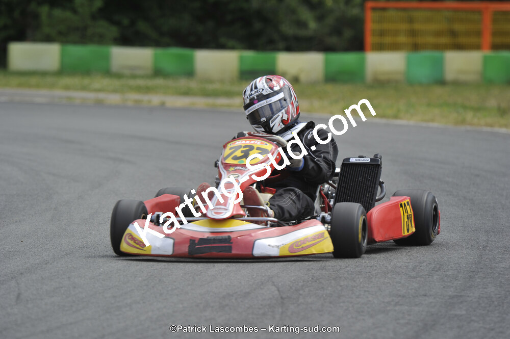 31/05/2015 : 4ème manche du Trophée Kart Ufolep 2015 à Layrac (Photos Patrick Lascombes) 2015 — karting