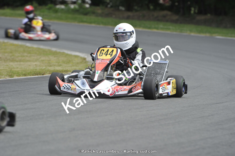 31/05/2015 : 4ème manche du Trophée Kart Ufolep 2015 à Layrac (Photos Patrick Lascombes) 2015 — karting