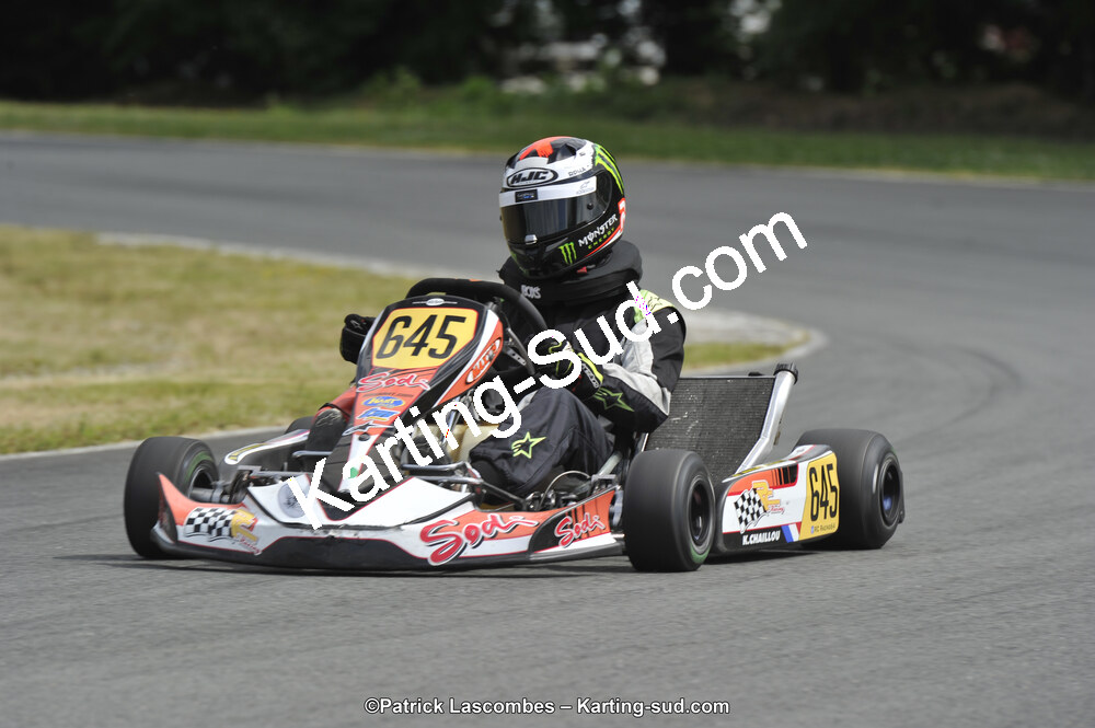 31/05/2015 : 4ème manche du Trophée Kart Ufolep 2015 à Layrac (Photos Patrick Lascombes) 2015 — karting