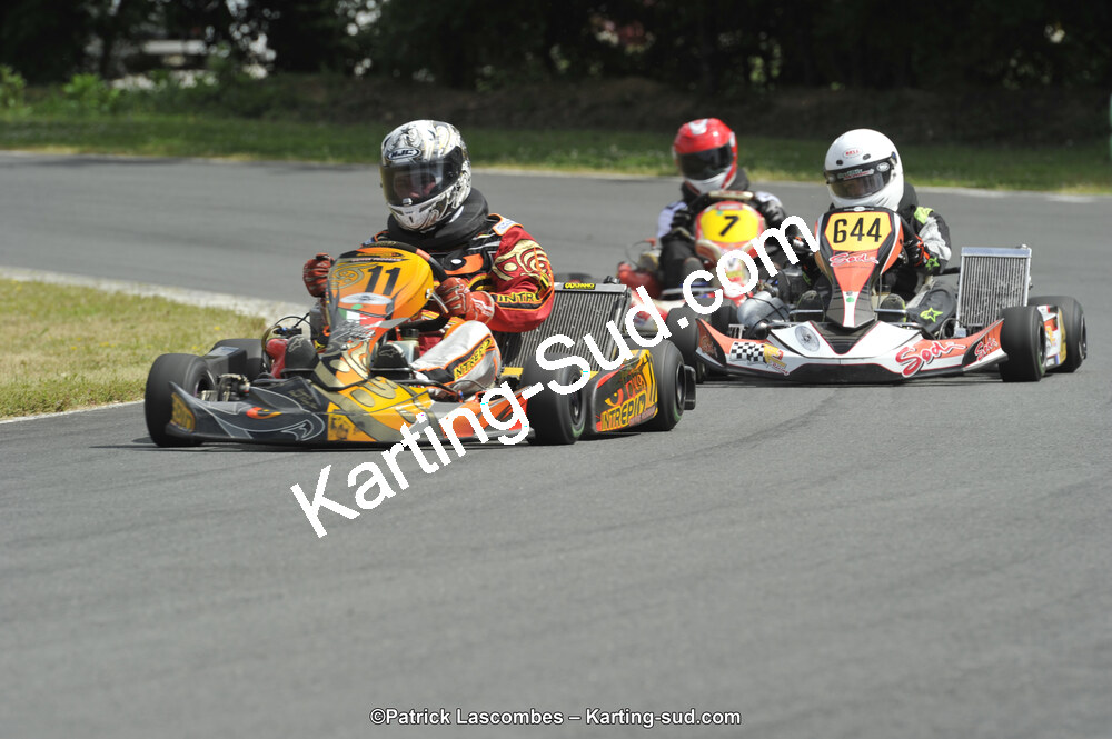 31/05/2015 : 4ème manche du Trophée Kart Ufolep 2015 à Layrac (Photos Patrick Lascombes) 2015 — karting