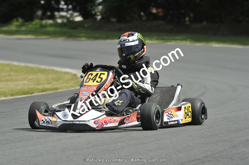 31/05/2015 : 4ème manche du Trophée Kart Ufolep 2015 à Layrac (Photos Patrick Lascombes) 2015 — karting