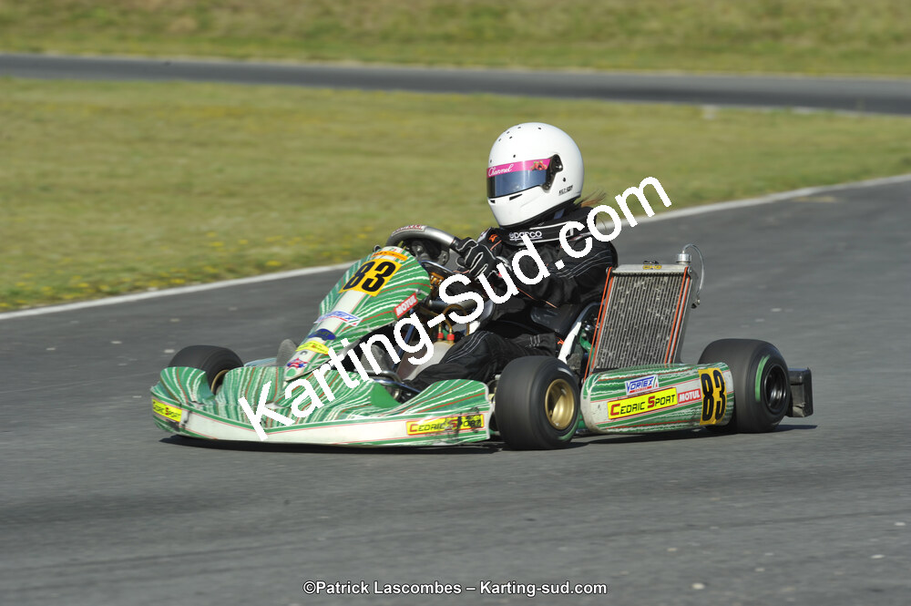 31/05/2015 : 4ème manche du Trophée Kart Ufolep 2015 à Layrac (Photos Patrick Lascombes) 2015 — karting