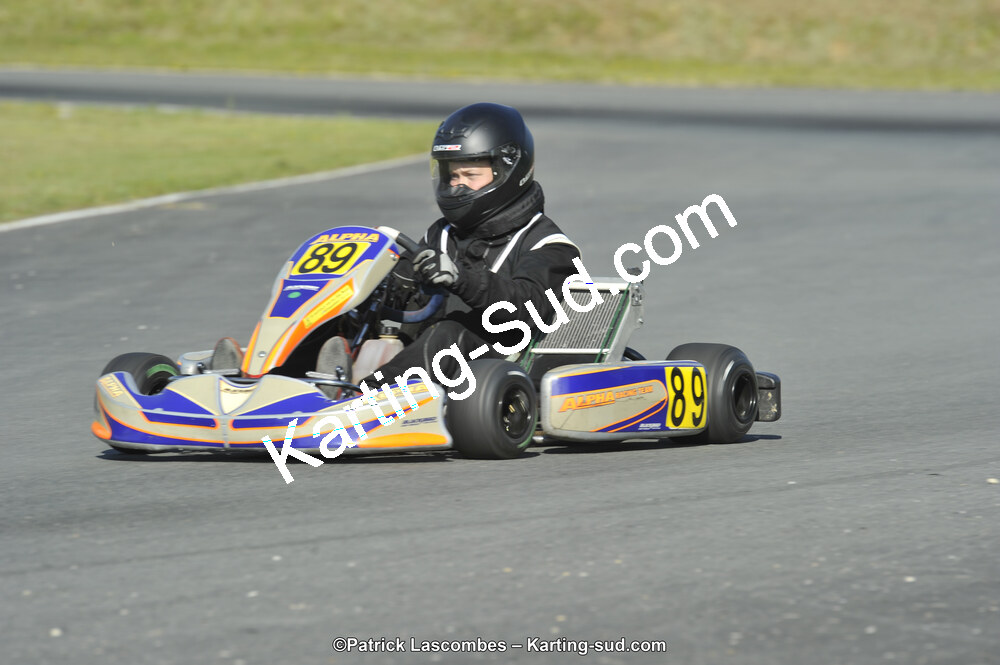 31/05/2015 : 4ème manche du Trophée Kart Ufolep 2015 à Layrac (Photos Patrick Lascombes) 2015 — karting