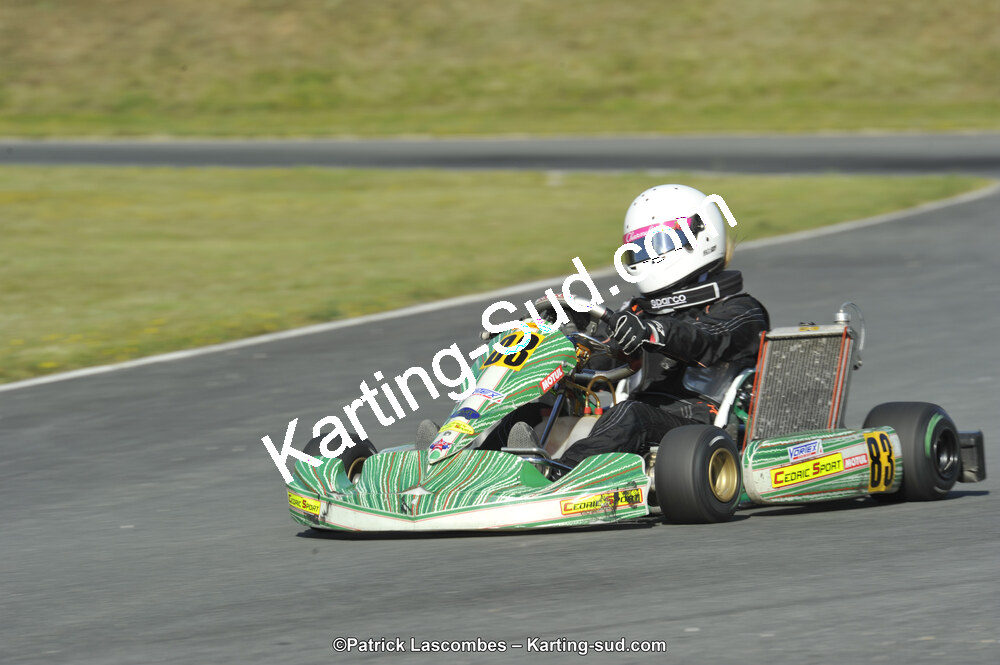 31/05/2015 : 4ème manche du Trophée Kart Ufolep 2015 à Layrac (Photos Patrick Lascombes) 2015 — karting
