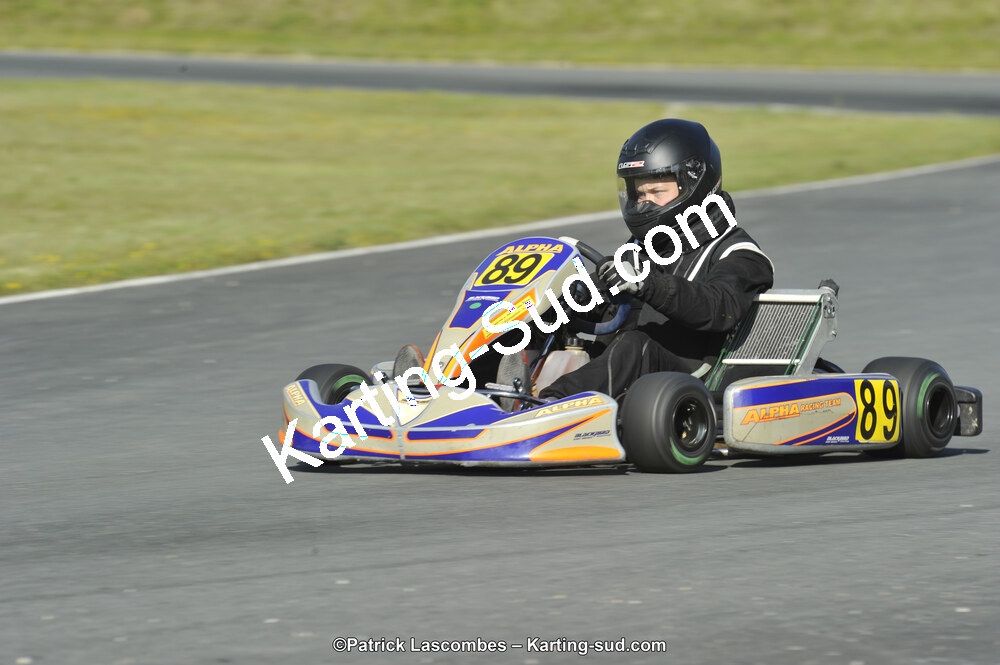 31/05/2015 : 4ème manche du Trophée Kart Ufolep 2015 à Layrac (Photos Patrick Lascombes) 2015 — karting