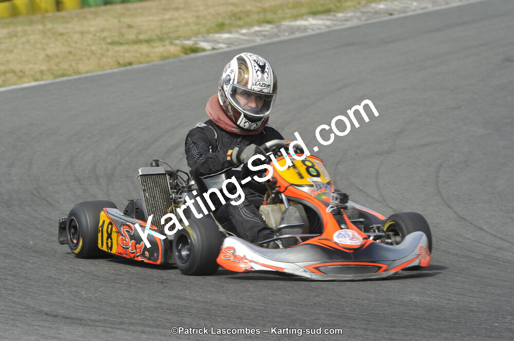 31/05/2015 : 4ème manche du Trophée Kart Ufolep 2015 à Layrac (Photos Patrick Lascombes) 2015 — karting