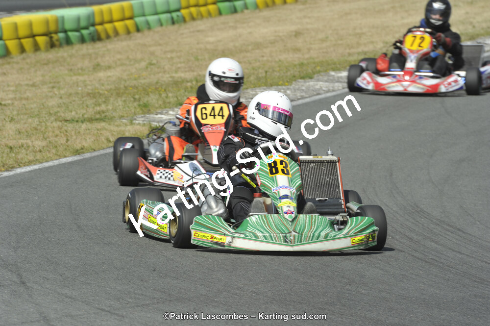 31/05/2015 : 4ème manche du Trophée Kart Ufolep 2015 à Layrac (Photos Patrick Lascombes) 2015 — karting