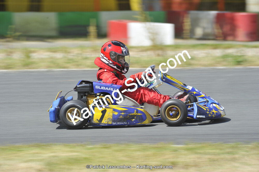 31/05/2015 : 4ème manche du Trophée Kart Ufolep 2015 à Layrac (Photos Patrick Lascombes) 2015 — karting