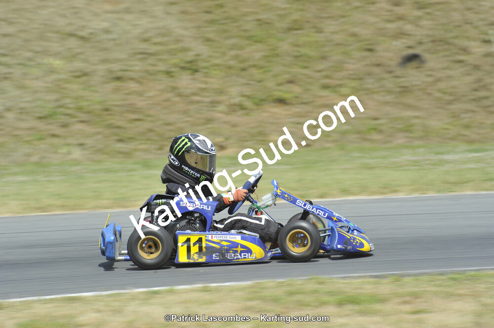31/05/2015 : 4ème manche du Trophée Kart Ufolep 2015 à Layrac (Photos Patrick Lascombes) 2015 — karting