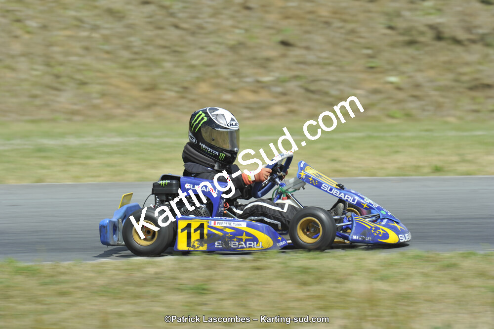 31/05/2015 : 4ème manche du Trophée Kart Ufolep 2015 à Layrac (Photos Patrick Lascombes) 2015 — karting