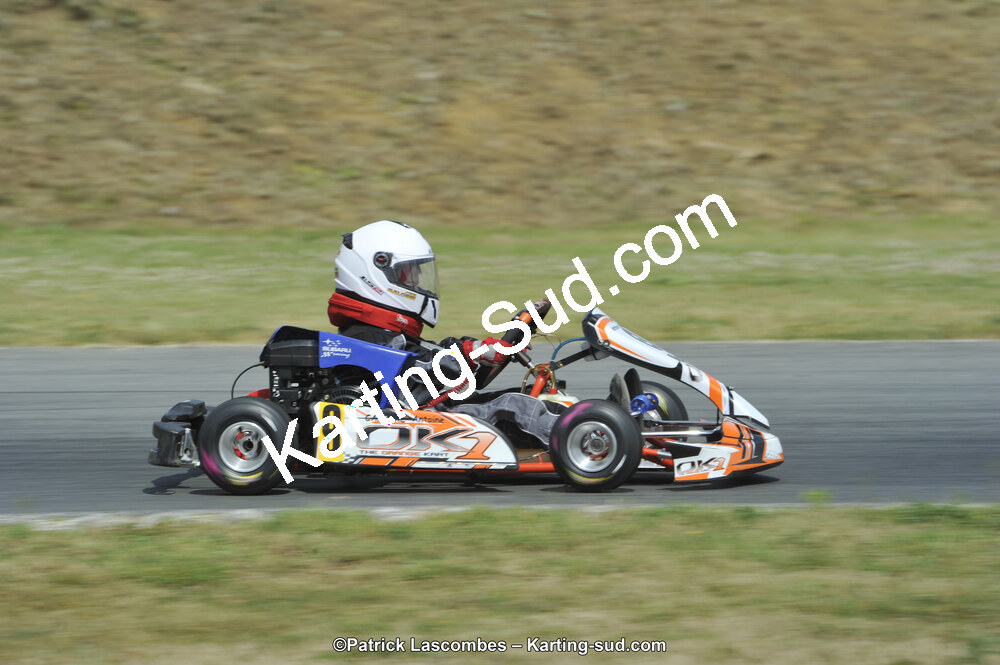 31/05/2015 : 4ème manche du Trophée Kart Ufolep 2015 à Layrac (Photos Patrick Lascombes) 2015 — karting