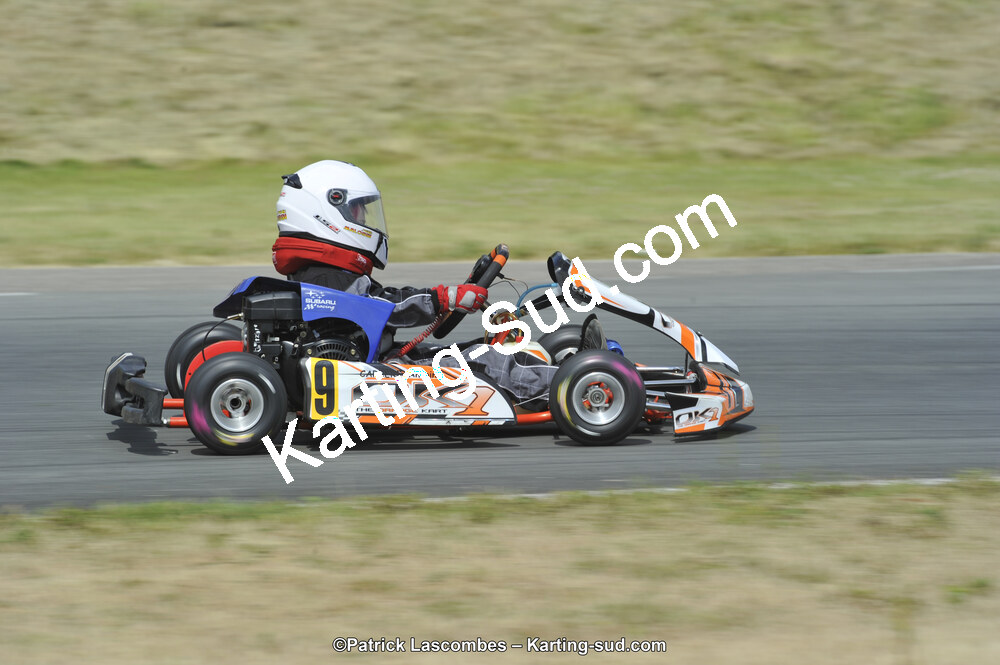 31/05/2015 : 4ème manche du Trophée Kart Ufolep 2015 à Layrac (Photos Patrick Lascombes) 2015 — karting