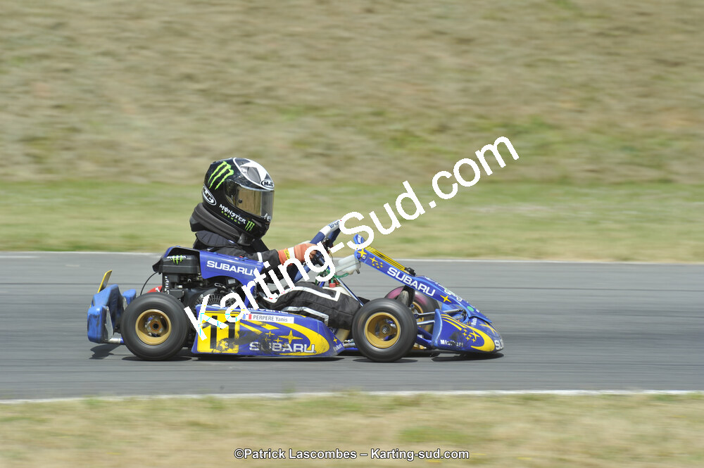 31/05/2015 : 4ème manche du Trophée Kart Ufolep 2015 à Layrac (Photos Patrick Lascombes) 2015 — karting