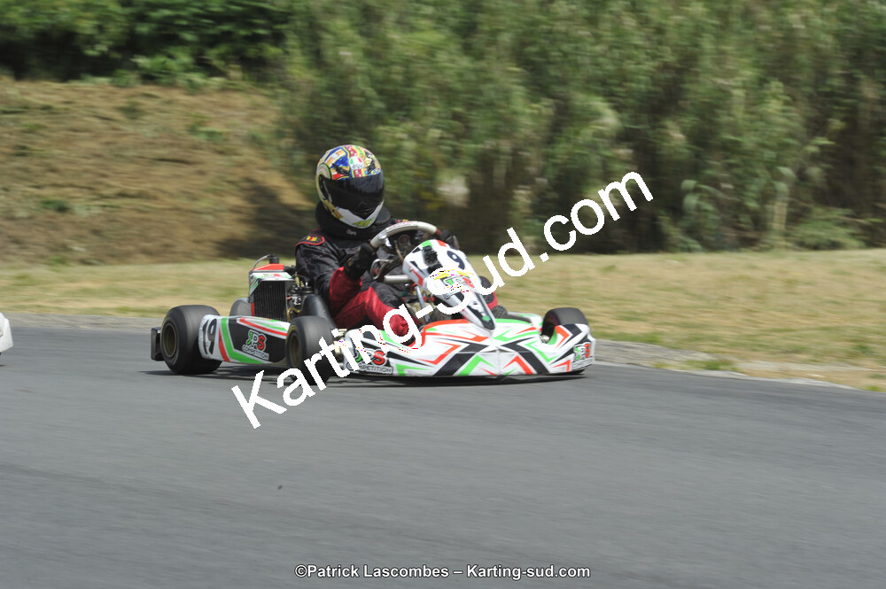 31/05/2015 : 4ème manche du Trophée Kart Ufolep 2015 à Layrac (Photos Patrick Lascombes) 2015 — karting