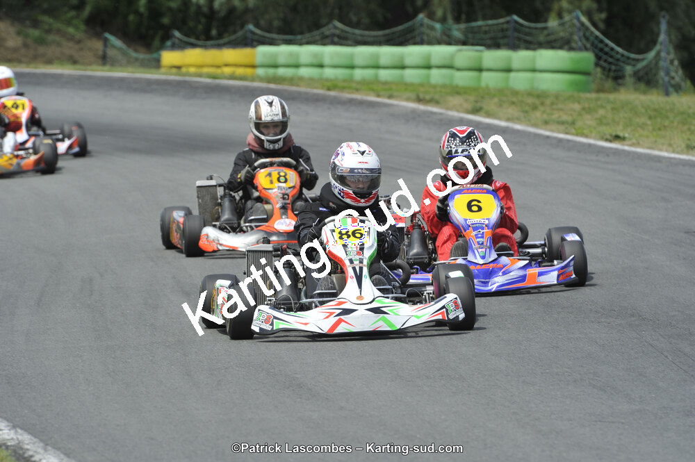 31/05/2015 : 4ème manche du Trophée Kart Ufolep 2015 à Layrac (Photos Patrick Lascombes) 2015 — karting