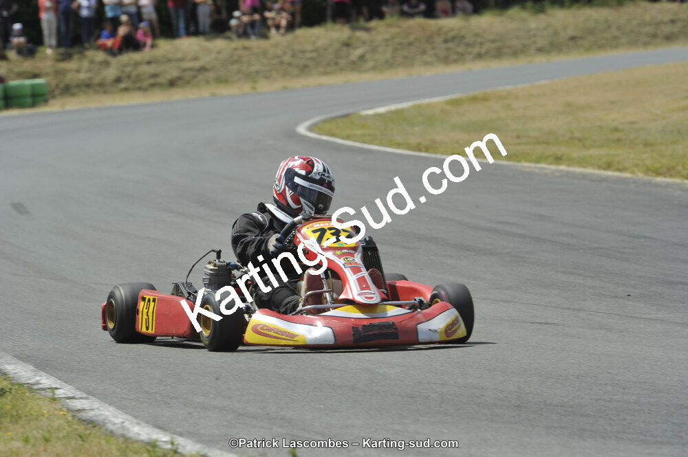 31/05/2015 : 4ème manche du Trophée Kart Ufolep 2015 à Layrac (Photos Patrick Lascombes) 2015 — karting