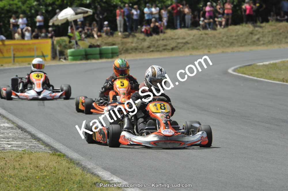 31/05/2015 : 4ème manche du Trophée Kart Ufolep 2015 à Layrac (Photos Patrick Lascombes) 2015 — karting