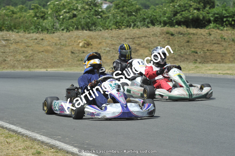 31/05/2015 : 4ème manche du Trophée Kart Ufolep 2015 à Layrac (Photos Patrick Lascombes) 2015 — karting