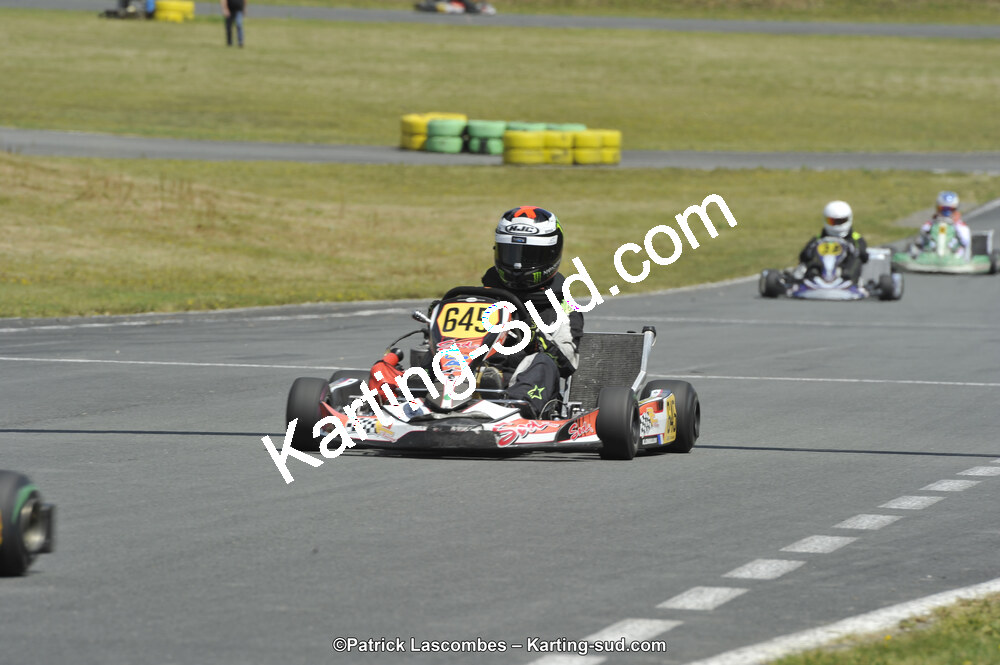 31/05/2015 : 4ème manche du Trophée Kart Ufolep 2015 à Layrac (Photos Patrick Lascombes) 2015 — karting