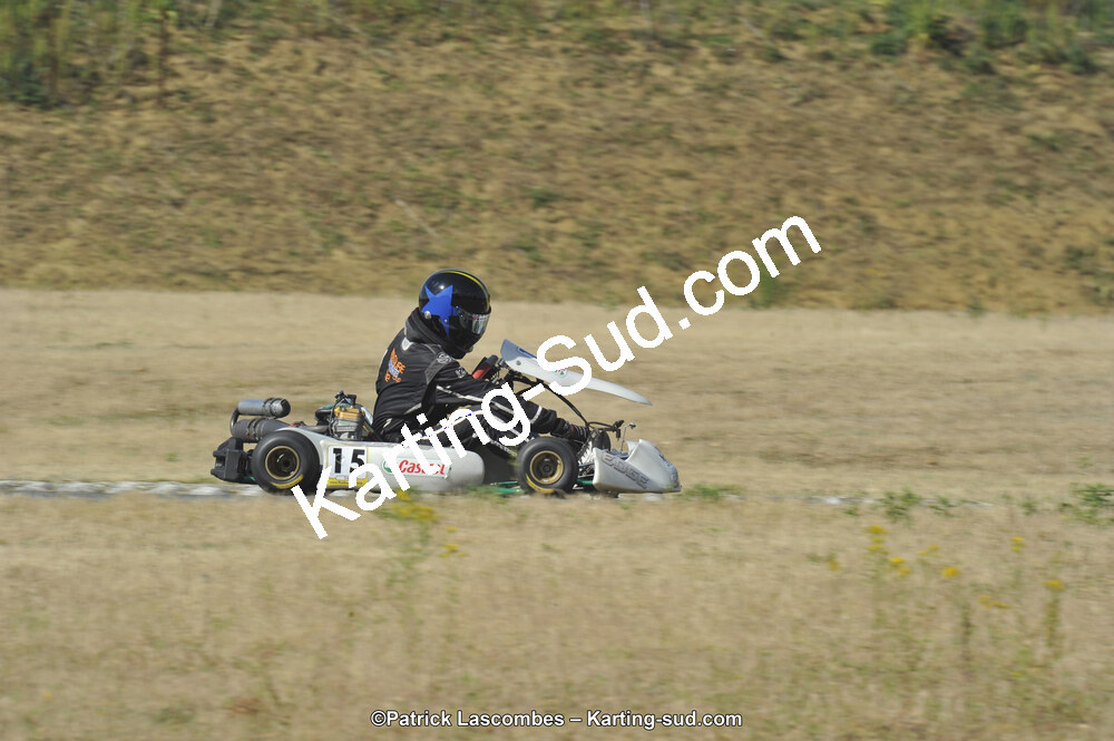 31/05/2015 : 4ème manche du Trophée Kart Ufolep 2015 à Layrac (Photos Patrick Lascombes) 2015 — karting