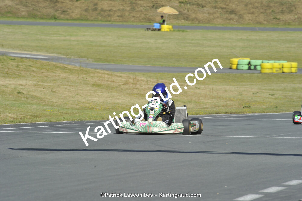 31/05/2015 : 4ème manche du Trophée Kart Ufolep 2015 à Layrac (Photos Patrick Lascombes) 2015 — karting