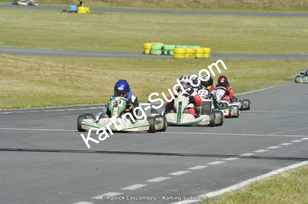 31/05/2015 : 4ème manche du Trophée Kart Ufolep 2015 à Layrac (Photos Patrick Lascombes) 2015 — karting