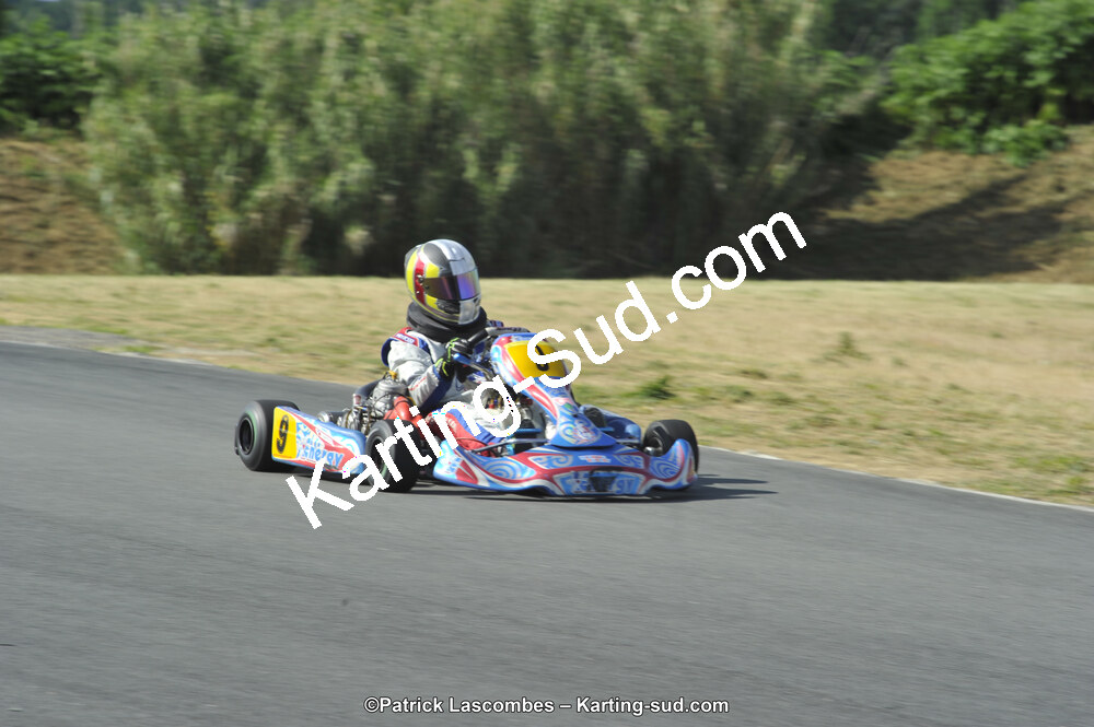 31/05/2015 : 4ème manche du Trophée Kart Ufolep 2015 à Layrac (Photos Patrick Lascombes) 2015 — karting
