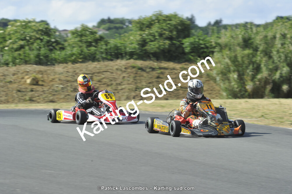 31/05/2015 : 4ème manche du Trophée Kart Ufolep 2015 à Layrac (Photos Patrick Lascombes) 2015 — karting