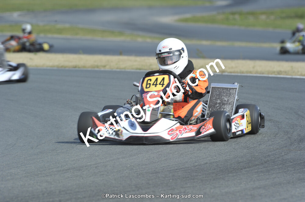 31/05/2015 : 4ème manche du Trophée Kart Ufolep 2015 à Layrac (Photos Patrick Lascombes) 2015 — karting