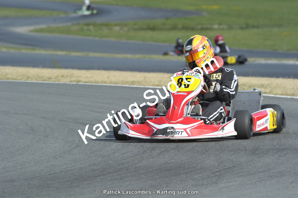 31/05/2015 : 4ème manche du Trophée Kart Ufolep 2015 à Layrac (Photos Patrick Lascombes) 2015 — karting