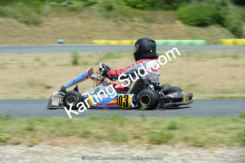 31/05/2015 : 4ème manche du Trophée Kart Ufolep 2015 à Layrac (Photos Patrick Lascombes) 2015 — karting