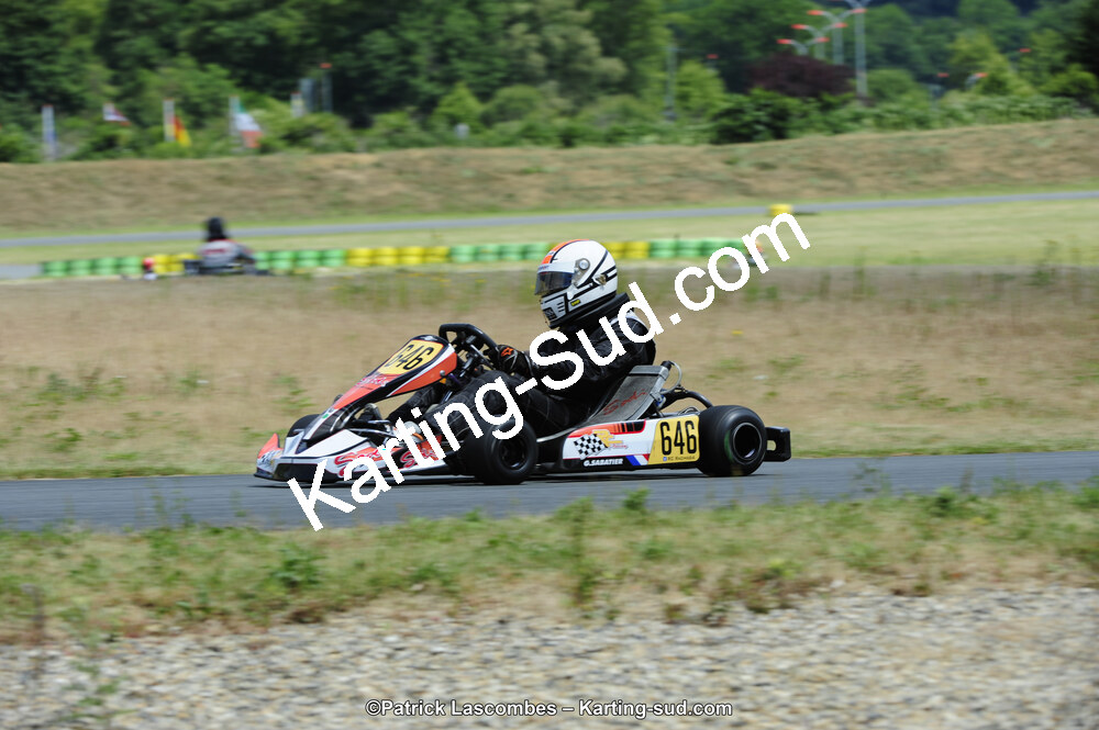 31/05/2015 : 4ème manche du Trophée Kart Ufolep 2015 à Layrac (Photos Patrick Lascombes) 2015 — karting