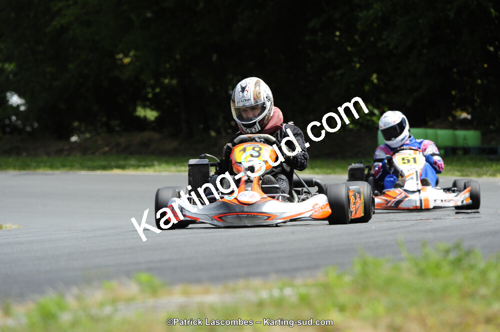 31/05/2015 : 4ème manche du Trophée Kart Ufolep 2015 à Layrac (Photos Patrick Lascombes) 2015 — karting