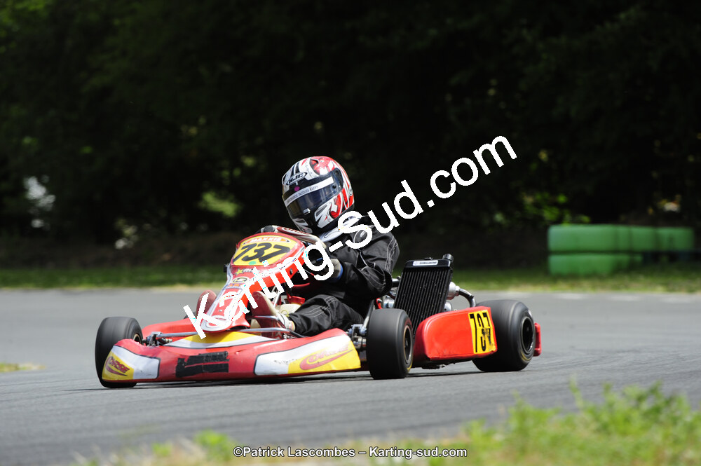 31/05/2015 : 4ème manche du Trophée Kart Ufolep 2015 à Layrac (Photos Patrick Lascombes) 2015 — karting