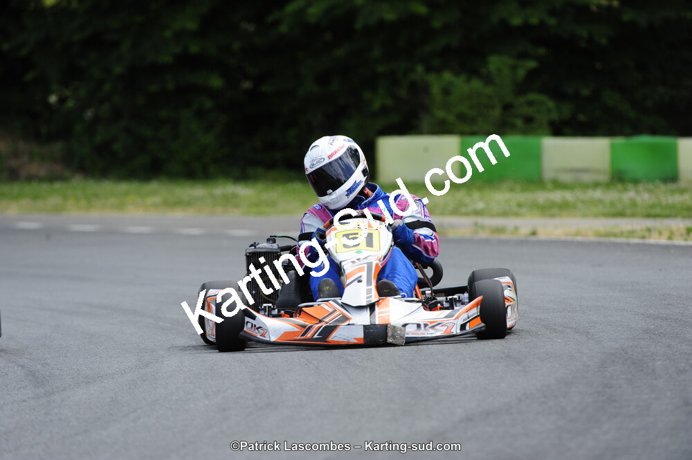 31/05/2015 : 4ème manche du Trophée Kart Ufolep 2015 à Layrac (Photos Patrick Lascombes) 2015 — karting