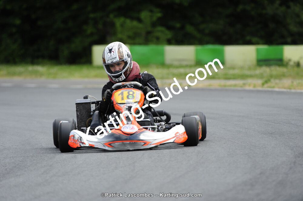 31/05/2015 : 4ème manche du Trophée Kart Ufolep 2015 à Layrac (Photos Patrick Lascombes) 2015 — karting