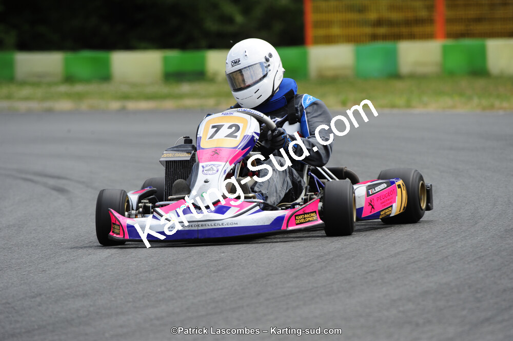 31/05/2015 : 4ème manche du Trophée Kart Ufolep 2015 à Layrac (Photos Patrick Lascombes) 2015 — karting