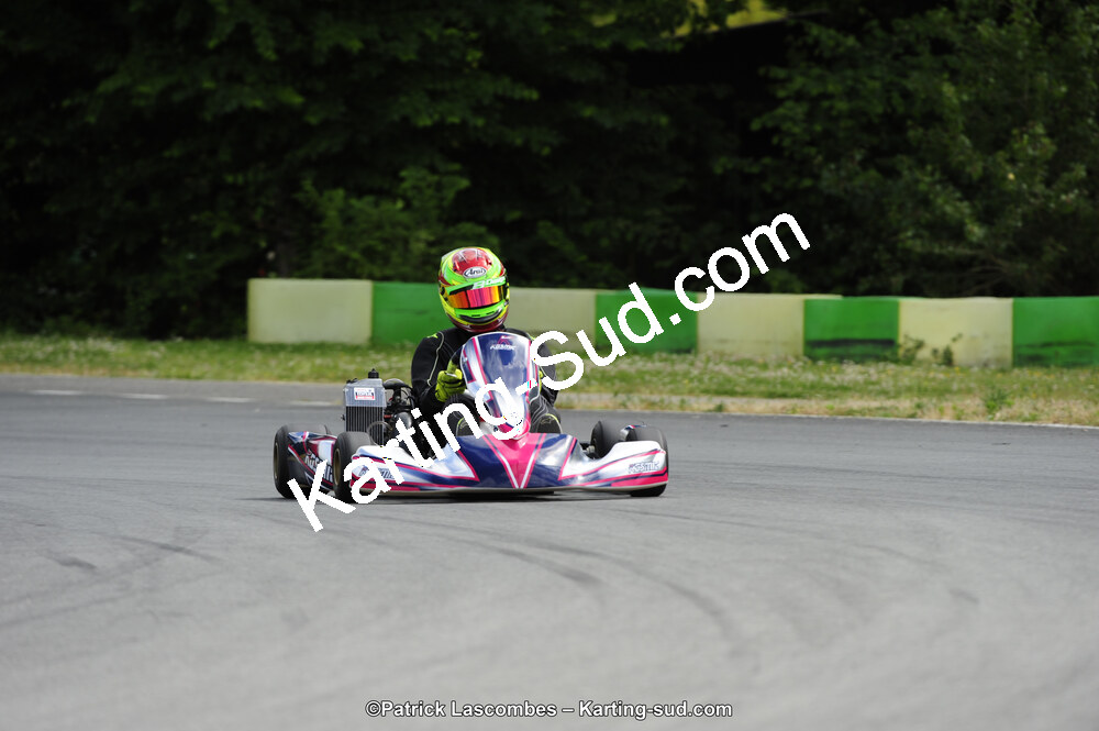 31/05/2015 : 4ème manche du Trophée Kart Ufolep 2015 à Layrac (Photos Patrick Lascombes) 2015 — karting