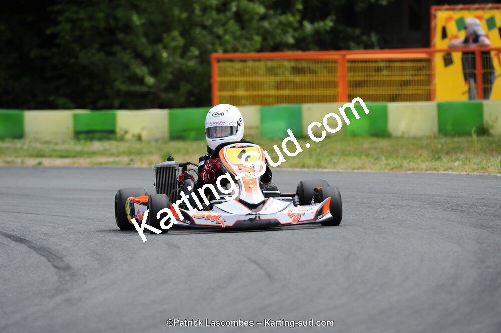 31/05/2015 : 4ème manche du Trophée Kart Ufolep 2015 à Layrac (Photos Patrick Lascombes) 2015 — karting