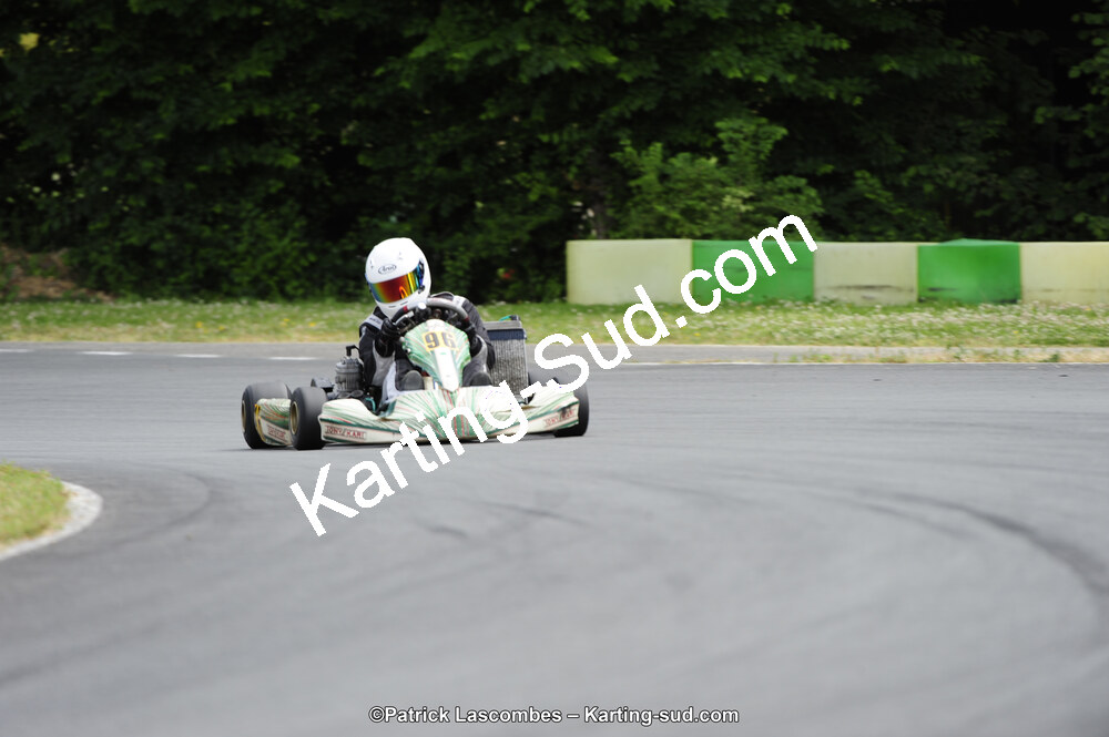 31/05/2015 : 4ème manche du Trophée Kart Ufolep 2015 à Layrac (Photos Patrick Lascombes) 2015 — karting