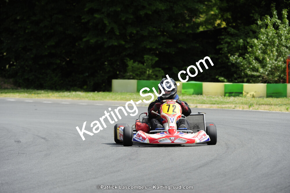 31/05/2015 : 4ème manche du Trophée Kart Ufolep 2015 à Layrac (Photos Patrick Lascombes) 2015 — karting