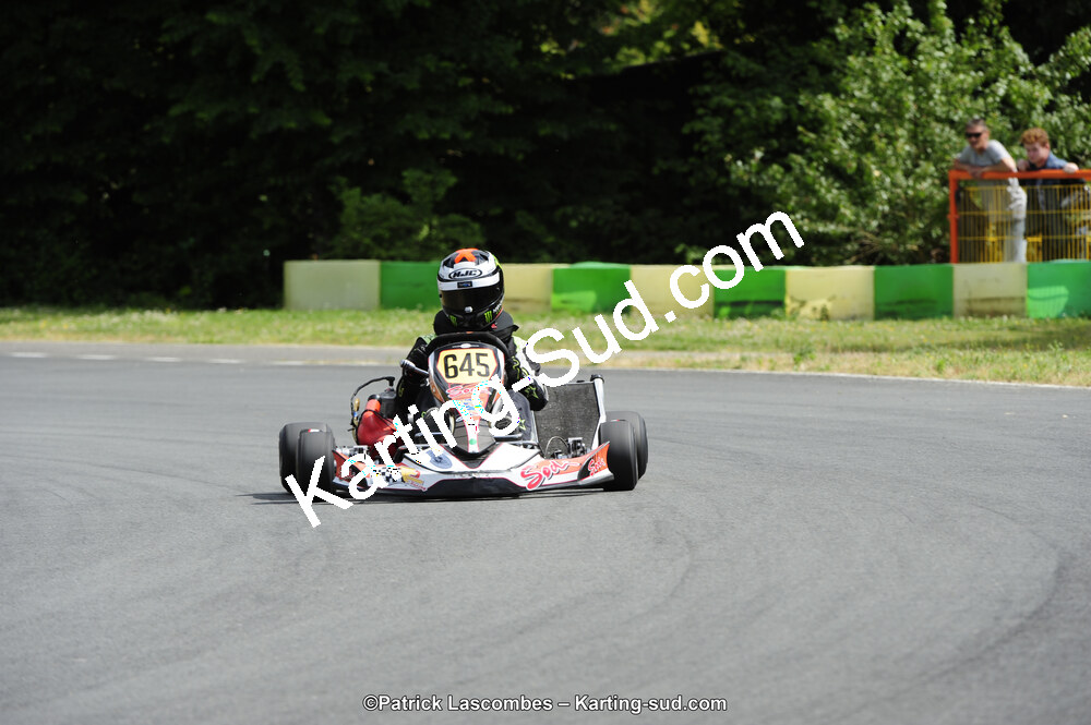 31/05/2015 : 4ème manche du Trophée Kart Ufolep 2015 à Layrac (Photos Patrick Lascombes) 2015 — karting