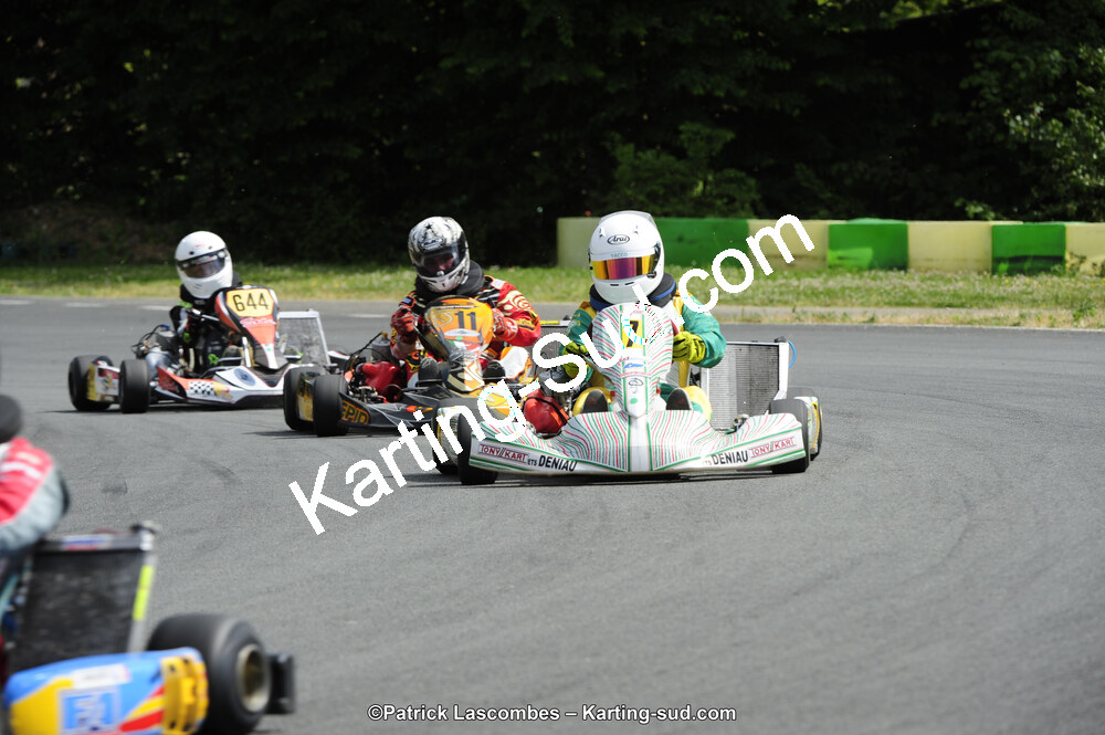 31/05/2015 : 4ème manche du Trophée Kart Ufolep 2015 à Layrac (Photos Patrick Lascombes) 2015 — karting