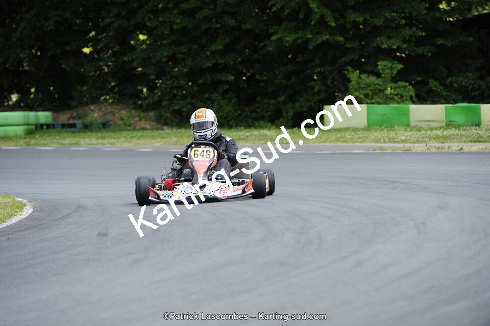 31/05/2015 : 4ème manche du Trophée Kart Ufolep 2015 à Layrac (Photos Patrick Lascombes) 2015 — karting