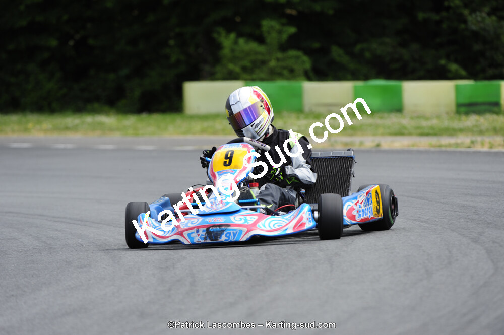 31/05/2015 : 4ème manche du Trophée Kart Ufolep 2015 à Layrac (Photos Patrick Lascombes) 2015 — karting