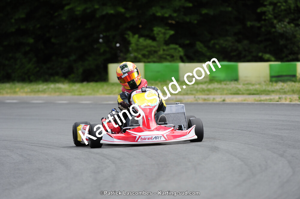 31/05/2015 : 4ème manche du Trophée Kart Ufolep 2015 à Layrac (Photos Patrick Lascombes) 2015 — karting