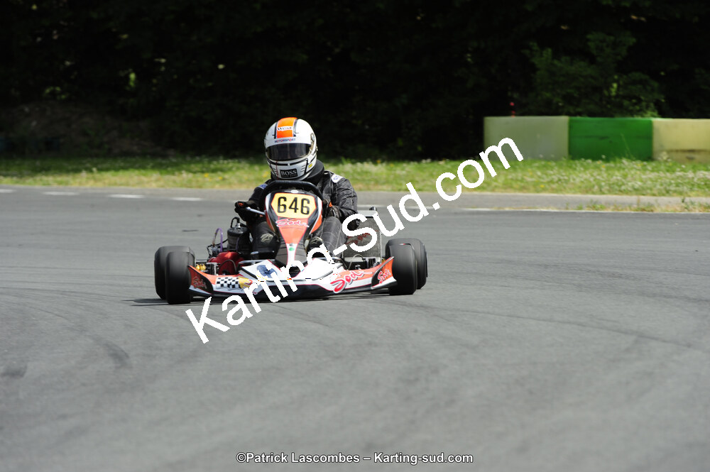 31/05/2015 : 4ème manche du Trophée Kart Ufolep 2015 à Layrac (Photos Patrick Lascombes) 2015 — karting