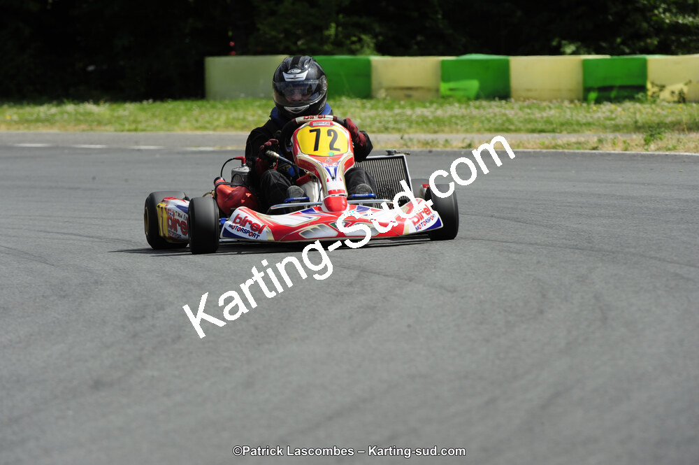 31/05/2015 : 4ème manche du Trophée Kart Ufolep 2015 à Layrac (Photos Patrick Lascombes) 2015 — karting