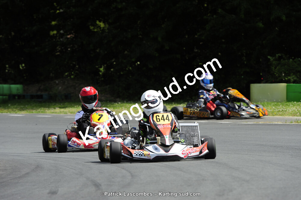 31/05/2015 : 4ème manche du Trophée Kart Ufolep 2015 à Layrac (Photos Patrick Lascombes) 2015 — karting